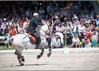 Pferd International 082